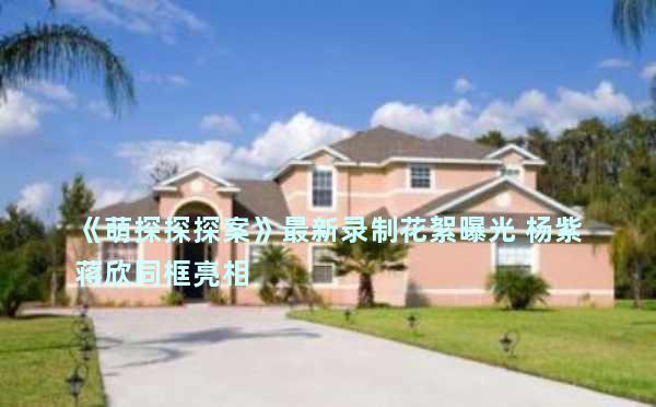 《萌探探探案》最新录制花絮曝光 杨紫蒋欣同框亮相